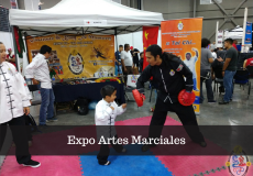 Torneo Estatal de Kung Fu y Tai Chi